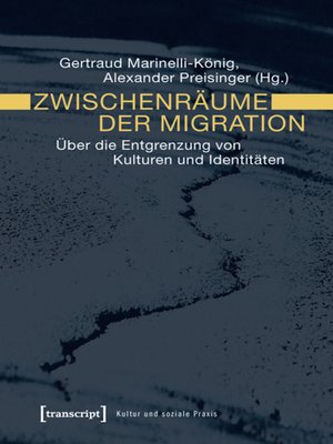 cover image of Zwischenräume der Migration